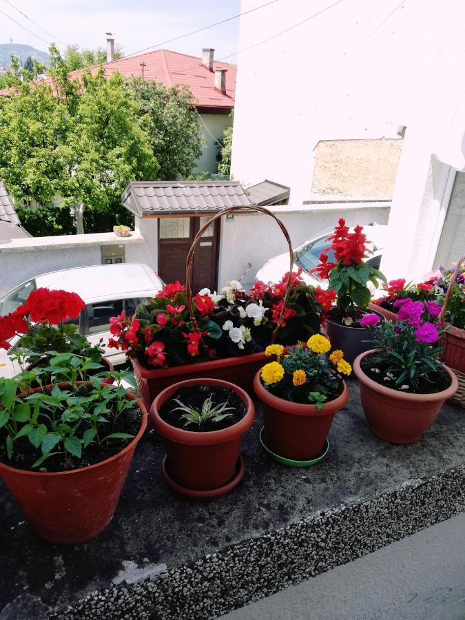 Apartman Ohren SJJ Exterior foto